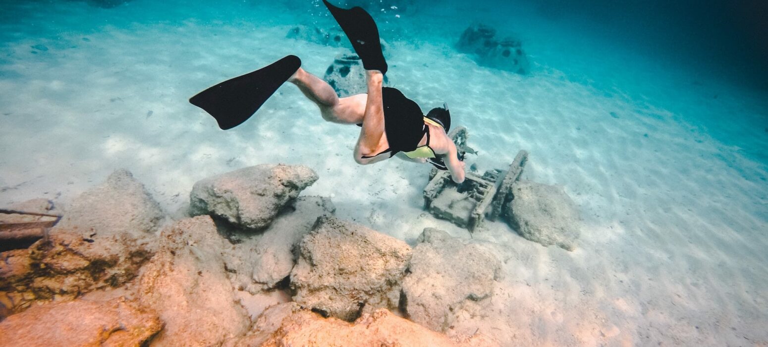 Snorkeling: i fondali marini dell'Asinara