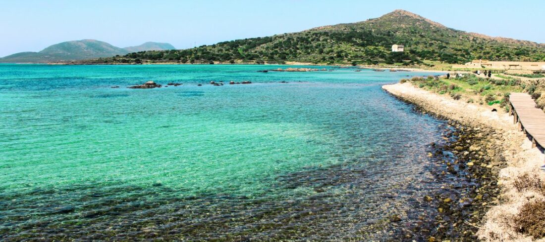 Scopri l'Asinara in Barca: Una Guida Completa alle Gite all'Asinara