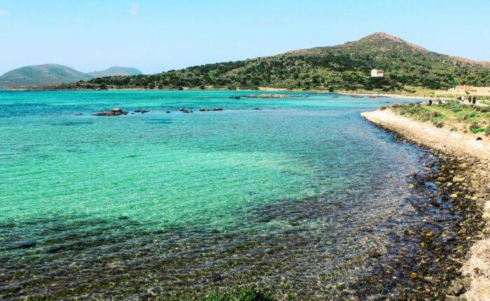 Scopri l'Asinara in Barca: Una Guida Completa alle Gite all'Asinara