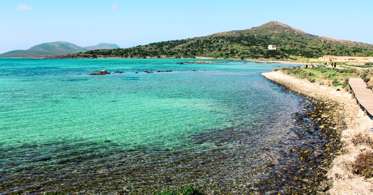 Scopri l'Asinara in Barca: Una Guida Completa alle Gite all'Asinara