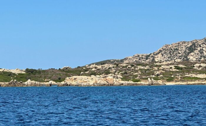 Asinara in barca - gita in barca di mattina, con vista cala Li Giorri